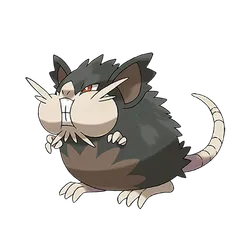 Raticate-Alola