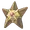 Staryu