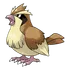 Pidgey