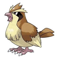 Pidgey