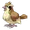 Pidgey