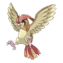 Pidgeotto