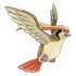 Pidgeot