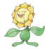 Sunflora