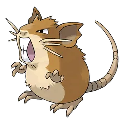 Raticate