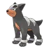Houndour
