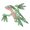 Grovyle