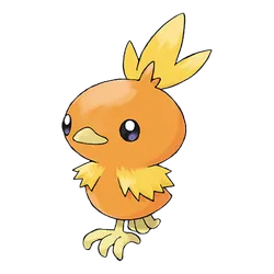 Torchic