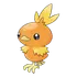 Torchic