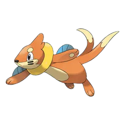 Buizel