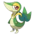Snivy