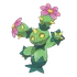 Maractus