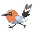 Fletchling