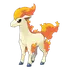 Ponyta