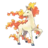 Rapidash