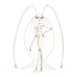 Pheromosa