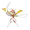 Kartana