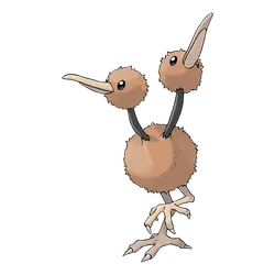 Doduo