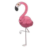 Flamigo
